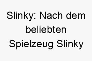 slinky nach dem beliebten spielzeug slinky benannt ideal fuer einen agilen oder flexiblen hund 25916