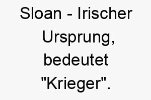 sloan irischer ursprung bedeutet krieger 9038