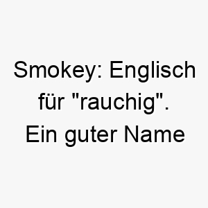 smokey englisch fuer rauchig ein guter name fuer einen grauen oder nebelgrauen hund 26087