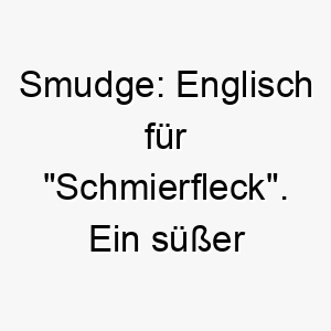 smudge englisch fuer schmierfleck ein suesser name fuer einen hund mit unordentlichen oder verschmierten markierungen 25917