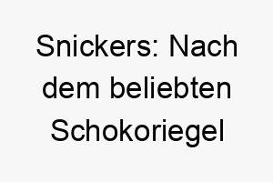 snickers nach dem beliebten schokoriegel benannt koennte fuer einen suessen oder energiegeladenen hund passen 25873