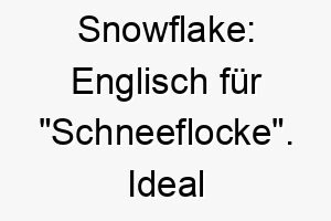 snowflake englisch fuer schneeflocke ideal fuer einen weissen oder sehr hellen hund 25901