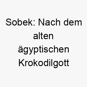 sobek nach dem alten aegyptischen krokodilgott benannt passend fuer einen starken oder beeindruckenden hund 26053