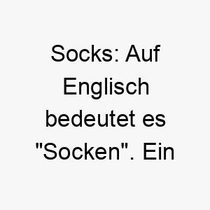 socks auf englisch bedeutet es socken ein suesser name fuer einen hund mit socken aehnlichen markierungen 25875