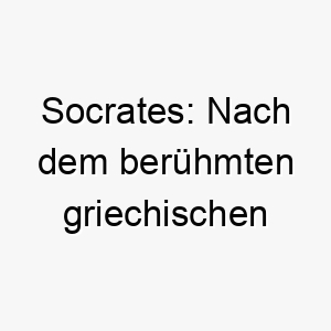 socrates nach dem beruehmten griechischen philosophen benannt koennte fuer einen weisen oder nachdenklichen hund passen 25899