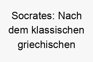 socrates nach dem klassischen griechischen philosophen benannt koennte fuer einen sehr intelligenten oder weisen hund passen 26054