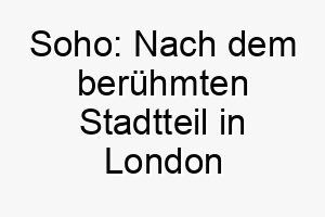 soho nach dem beruehmten stadtteil in london oder new york benannt koennte fuer einen trendigen staedtischen hund passen 25918