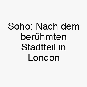 soho nach dem beruehmten stadtteil in london oder new york benannt koennte fuer einen trendigen staedtischen hund passen 25918