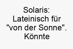 solaris lateinisch fuer von der sonne koennte fuer einen hellen oder strahlenden hund passen 26055