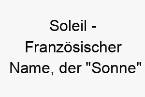 soleil franzoesischer name der sonne bedeutet 8954