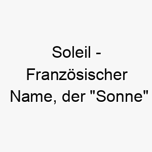 soleil franzoesischer name der sonne bedeutet 8954