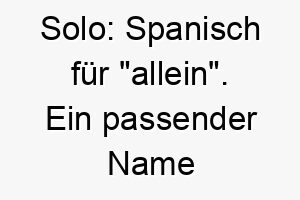 solo spanisch fuer allein ein passender name fuer einen unabhaengigen hund oder einen hund mit einzelkind syndrom 25919