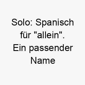 solo spanisch fuer allein ein passender name fuer einen unabhaengigen hund oder einen hund mit einzelkind syndrom 25919