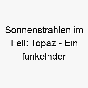 sonnenstrahlen im fell topaz ein funkelnder name fuer einen goldenen gefaehrten 26250