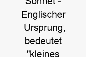 sonnet englischer ursprung bedeutet kleines lied sonett 8970