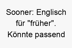 sooner englisch fuer frueher koennte passend sein fuer einen hund der gerne rennt oder immer vorne ist 26090