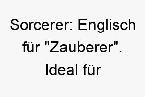 sorcerer englisch fuer zauberer ideal fuer einen hund mit einer magischen persoenlichkeit 26056