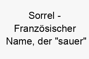 sorrel franzoesischer name der sauer bedeutet und nach der pflanze sauerampfer benannt ist 8955