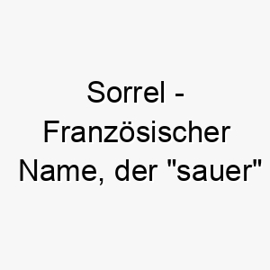 sorrel franzoesischer name der sauer bedeutet und nach der pflanze sauerampfer benannt ist 8955