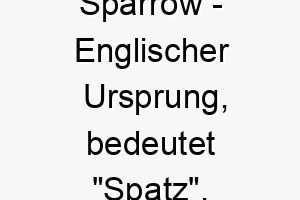 sparrow englischer ursprung bedeutet spatz 9046