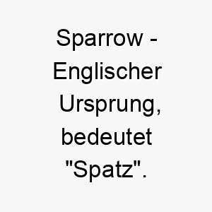 sparrow englischer ursprung bedeutet spatz 9046