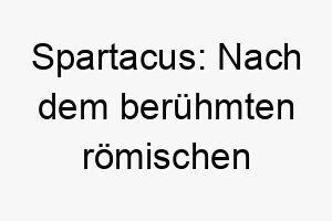 spartacus nach dem beruehmten roemischen gladiator benannt es hat keine spezielle bedeutung als hundename 25887