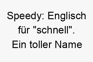 speedy englisch fuer schnell ein toller name fuer einen besonders schnellen oder agilen hund 26058