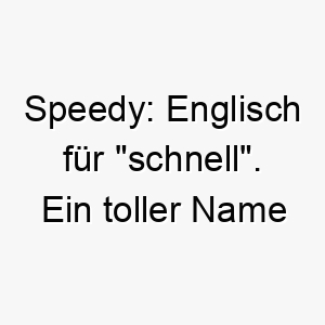 speedy englisch fuer schnell ein toller name fuer einen besonders schnellen oder agilen hund 26058