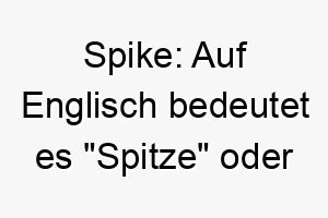 spike auf englisch bedeutet es spitze oder spiess oft verwendet fuer robuste oder schuetzende hunde 25876