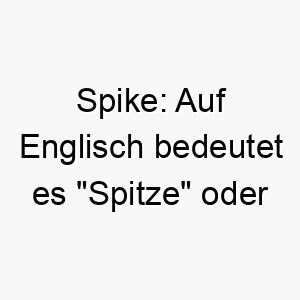 spike auf englisch bedeutet es spitze oder spiess oft verwendet fuer robuste oder schuetzende hunde 25876