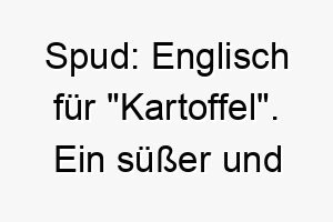 spud englisch fuer kartoffel ein suesser und etwas alberner name fuer einen hund 26061