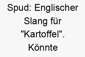 spud englischer slang fuer kartoffel koennte fuer einen kuscheligen molligen hund passen 25888