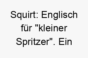 squirt englisch fuer kleiner spritzer ein suesser name fuer einen kleinen oder verspielten hund 25903