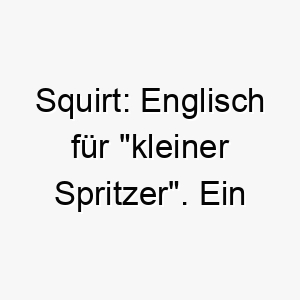 squirt englisch fuer kleiner spritzer ein suesser name fuer einen kleinen oder verspielten hund 25903