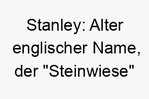 stanley alter englischer name der steinwiese bedeutet 25878