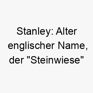 stanley alter englischer name der steinwiese bedeutet 25878