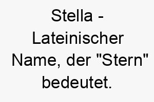 stella lateinischer name der stern bedeutet 8931