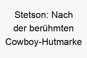 stetson nach der beruehmten cowboy hutmarke benannt ein toller name fuer einen western oder country liebenden hund 26065