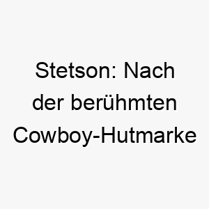 stetson nach der beruehmten cowboy hutmarke benannt ein toller name fuer einen western oder country liebenden hund 26065