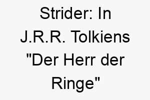 strider in j r r tolkiens der herr der ringe ist strider ein name von aragorn es hat keine spezielle bedeutung als hundename 25890