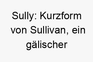 sully kurzform von sullivan ein gaelischer name der dunkle augen bedeutet 25880