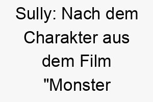 sully nach dem charakter aus dem film monster ag benannt auch eine kurzform des namens sullivan 26069