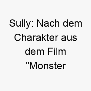 sully nach dem charakter aus dem film monster ag benannt auch eine kurzform des namens sullivan 26069