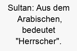 sultan aus dem arabischen bedeutet herrscher koennte fuer einen stolzen oder koeniglichen hund passen 25891