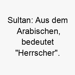 sultan aus dem arabischen bedeutet herrscher koennte fuer einen stolzen oder koeniglichen hund passen 25891