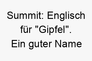 summit englisch fuer gipfel ein guter name fuer einen hund der gerne wandert oder klettert 26024