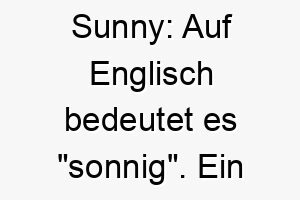 sunny auf englisch bedeutet es sonnig ein froehlicher name fuer einen lebenslustigen hund 25881