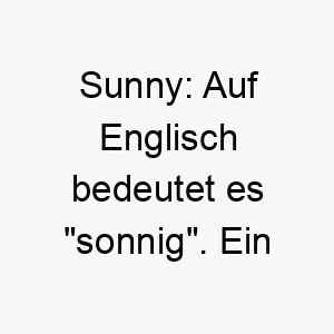 sunny auf englisch bedeutet es sonnig ein froehlicher name fuer einen lebenslustigen hund 25881