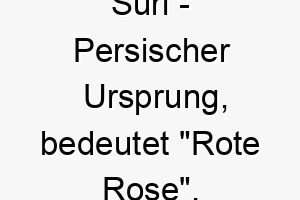 suri persischer ursprung bedeutet rote rose 8986