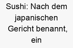 sushi nach dem japanischen gericht benannt ein lustiger name fuer hunde 25894